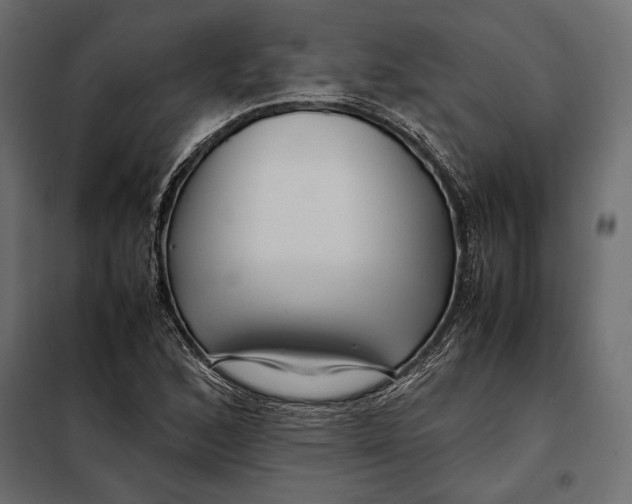 X0000098081168200804251506