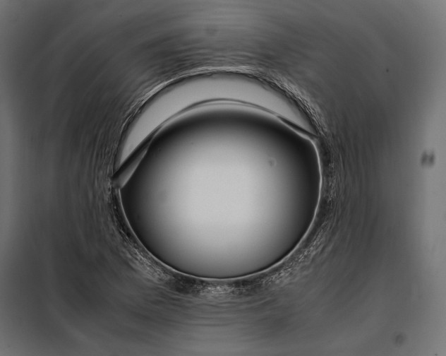 X0000098081169200804251506