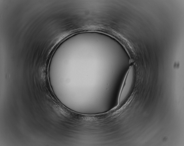 X0000098081170200804251506