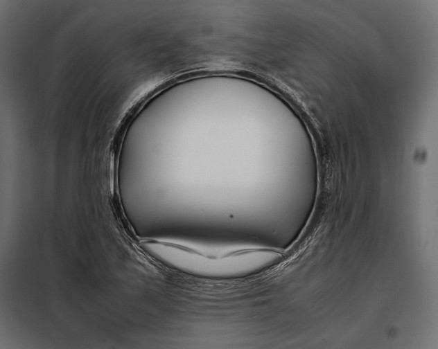 X0000098081171200804251506