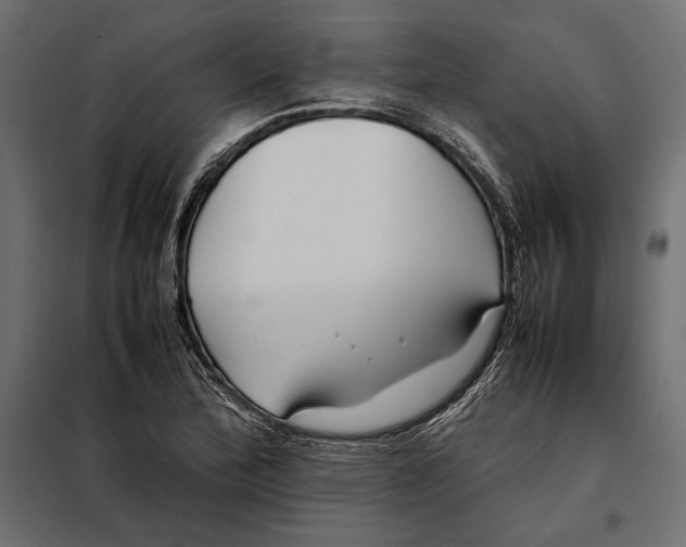 X0000098081172200804251506