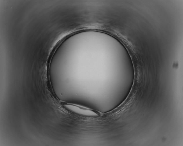 X0000098081174200804251506