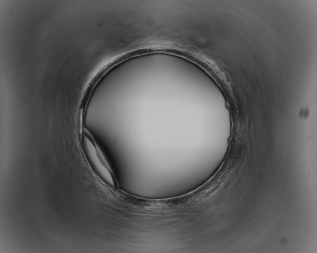 X0000098081175200804251506