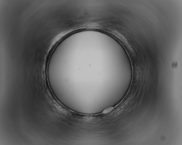 X0000098081176200804251506