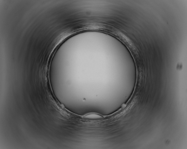 X0000098081178200804251506