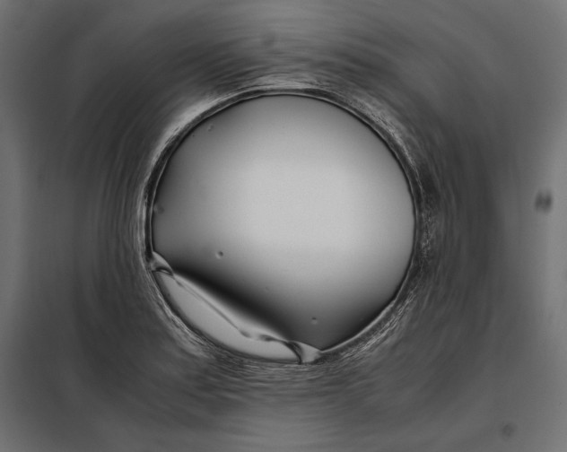 X0000098081179200804251506