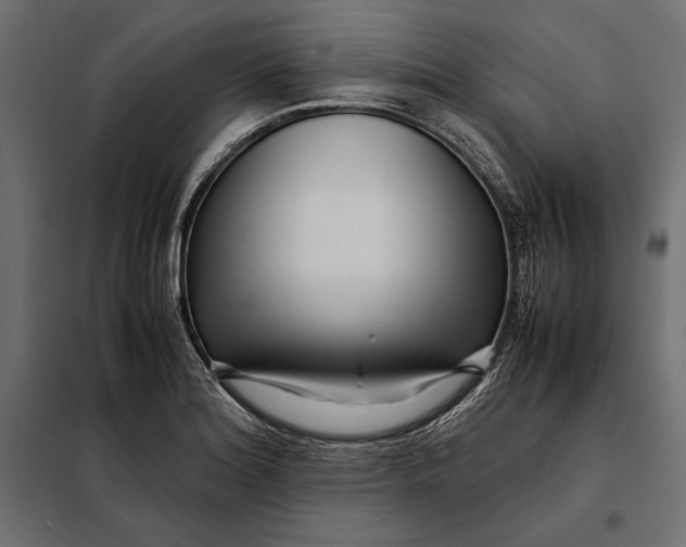 X0000098081180200804251506