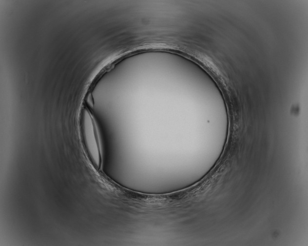 X0000098081181200804251506