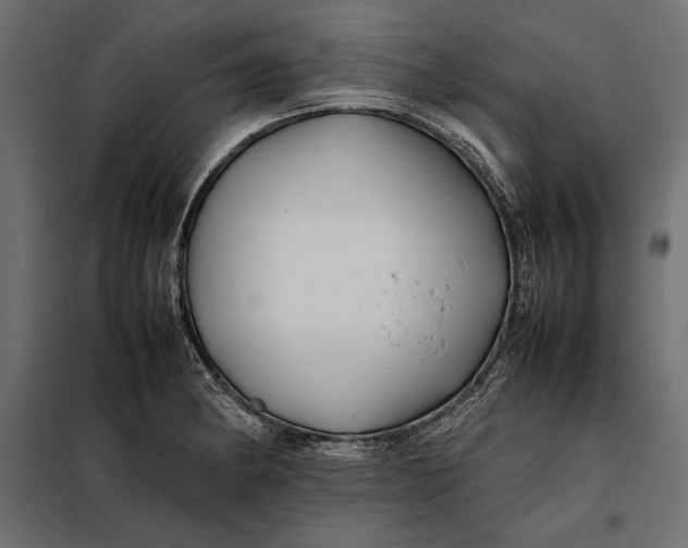 X0000098081182200804251506