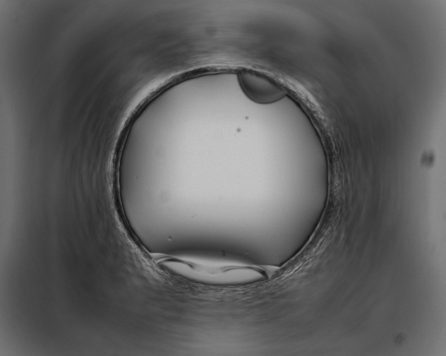 X0000098081183200804251506