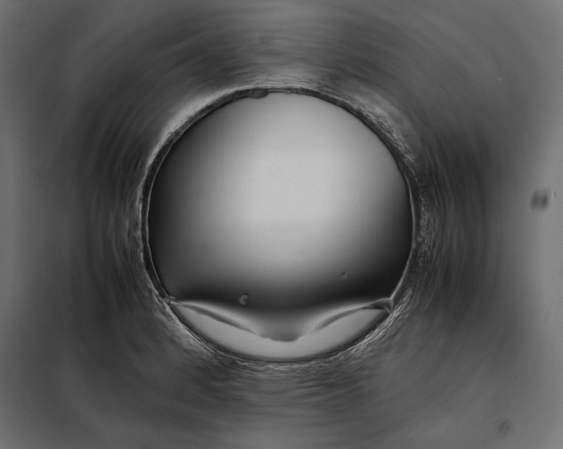 X0000098081184200804251506