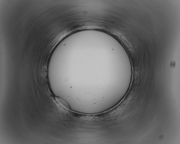 X0000098081185200804251506