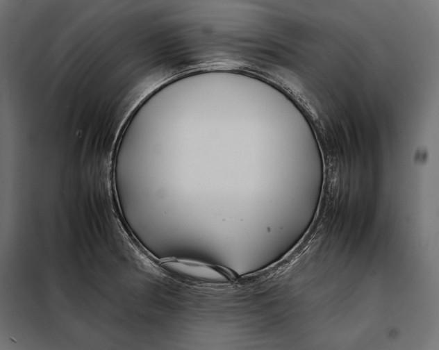 X0000098081186200804251506