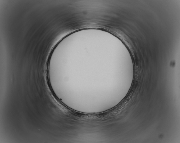 X0000098081187200804251506