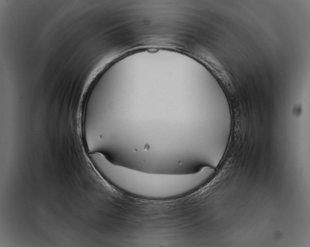 X0000098081188200804251506