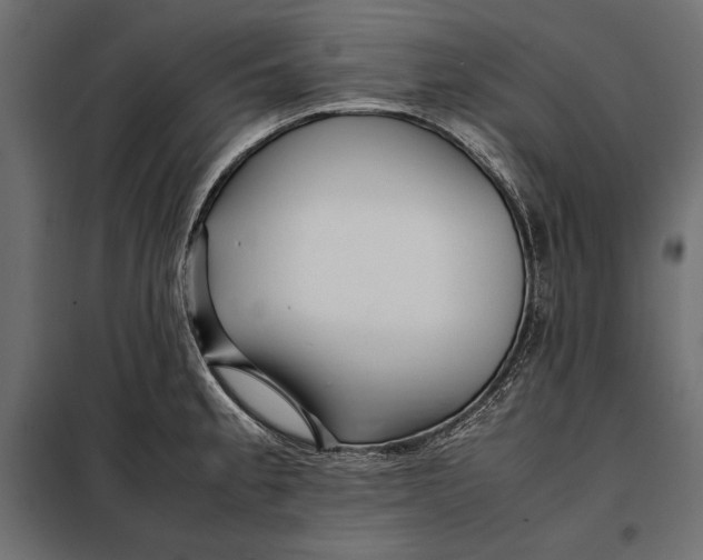 X0000098081189200804251506