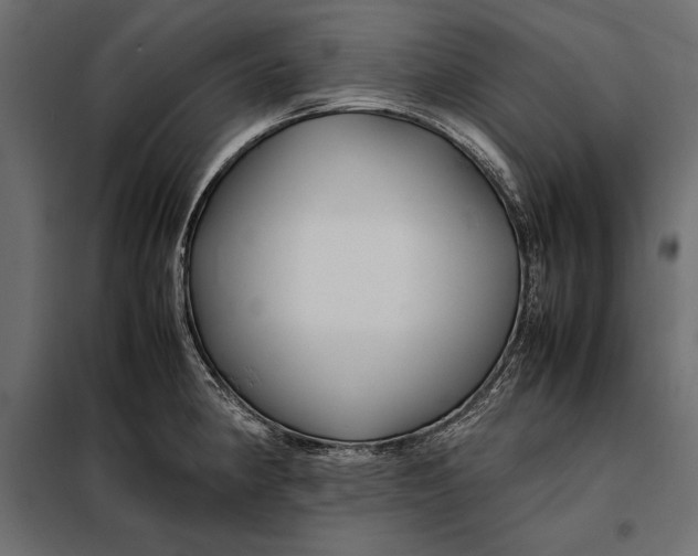 X0000098081190200804251506