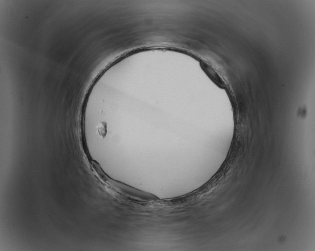 X0000098081191200804251506