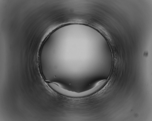 X0000098081192200804251506