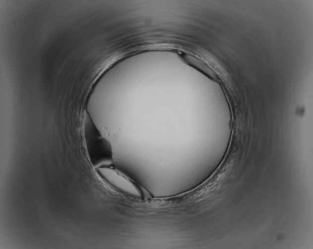 X0000098081193200804251506