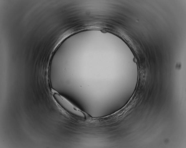 X0000098081194200804251506