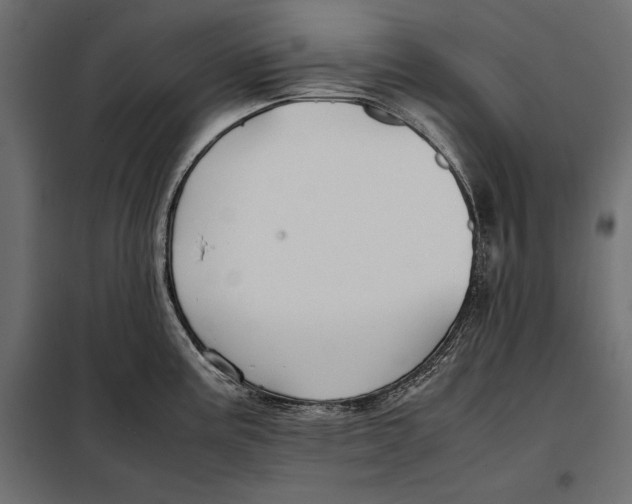 X0000098081195200804251506