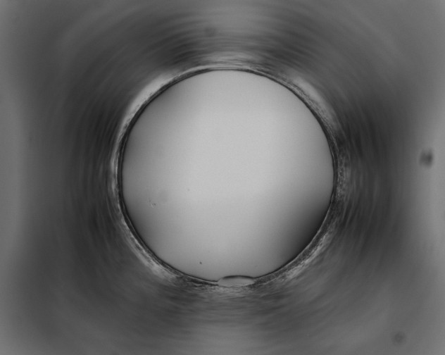 X0000098081196200804251506