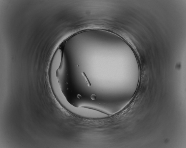 X0000098081197200804251506