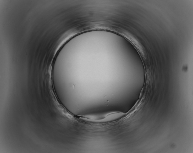 X0000098081198200804251506