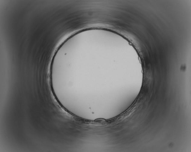 X0000098081199200804251506