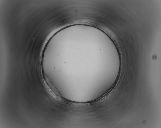 X0000098081200200804251506