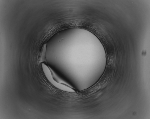 X0000098081202200804251505