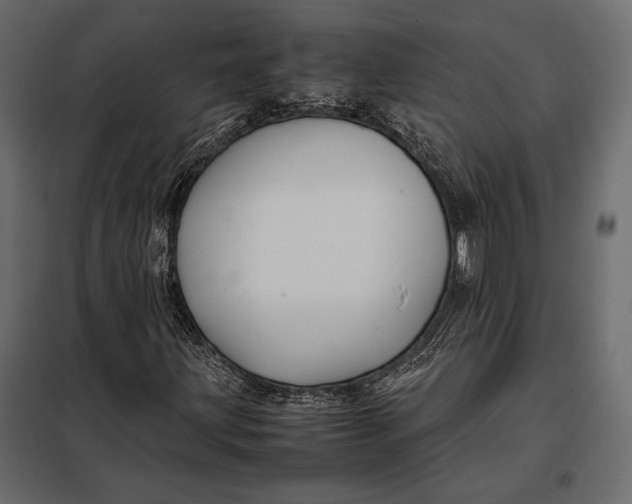 X0000098081203200804251505