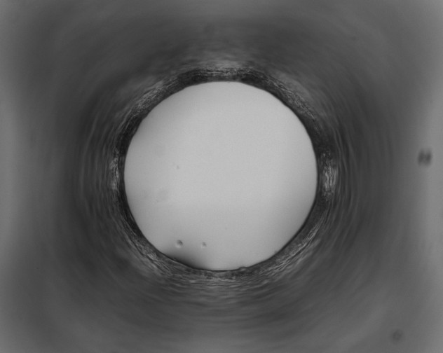 X0000098081204200804251505