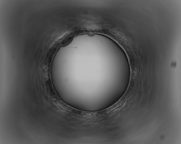 X0000098081205200804251505