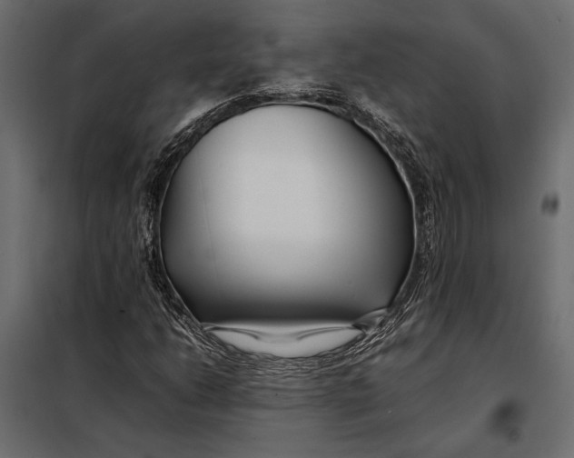 X0000098081206200804251505