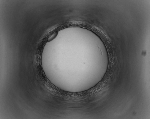 X0000098081207200804251505