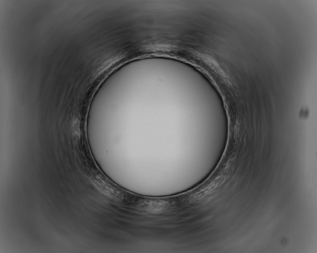 X0000098081209200804251505