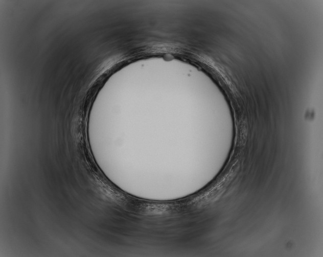 X0000098081211200804251505