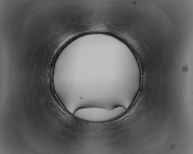 X0000098081212200804251505