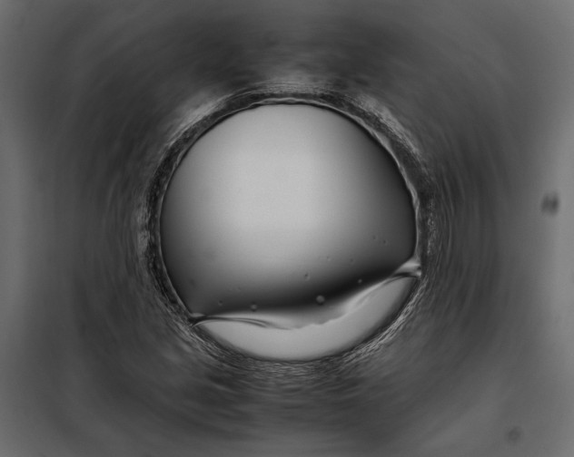 X0000098081213200804251505