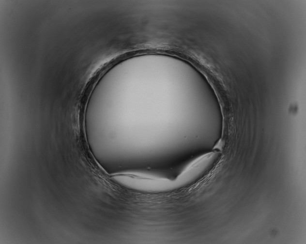 X0000098081214200804251505