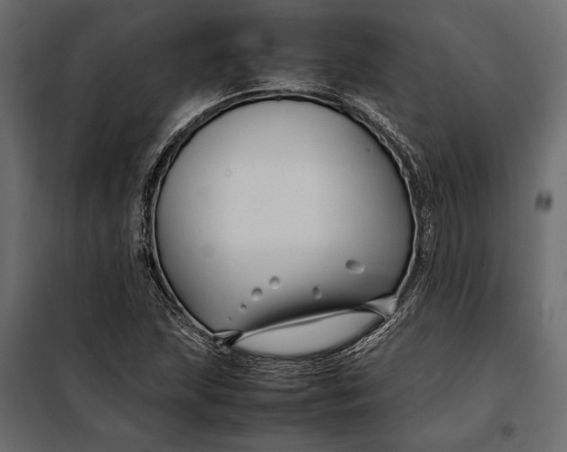 X0000098081215200804251505