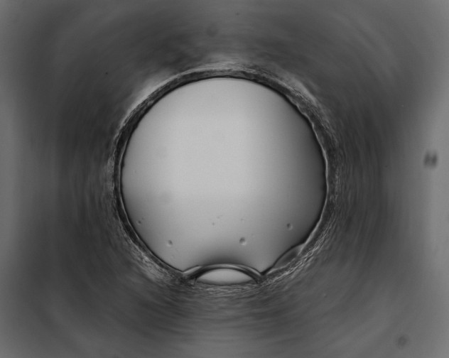 X0000098081216200804251505