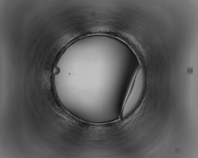 X0000098081217200804251505