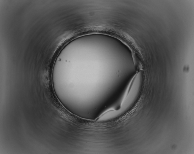 X0000098081218200804251505