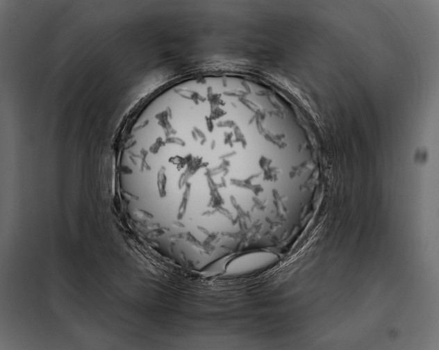 X0000098081219200804251505