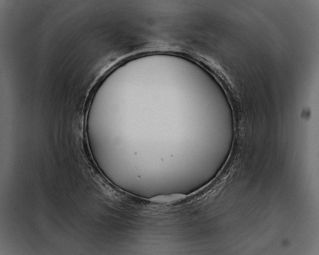 X0000098081220200804251505