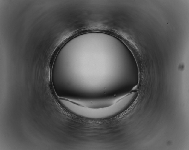 X0000098081221200804251505