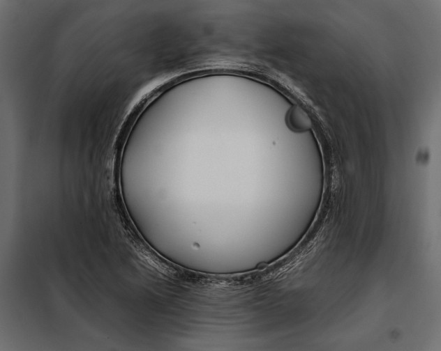 X0000098081222200804251505